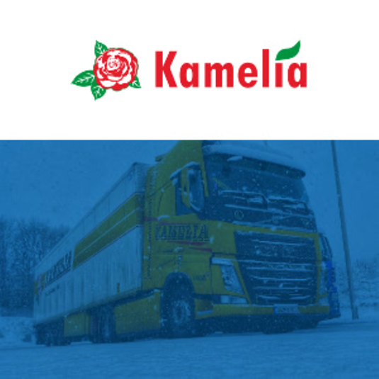 successstores-statements-preview-tile-see-kamelia-bih-page-1