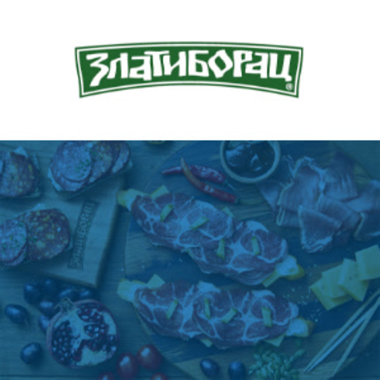 successstores-statements-preview-tile-see-zlatiborac-rs-page-1